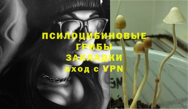 ешки Дмитровск