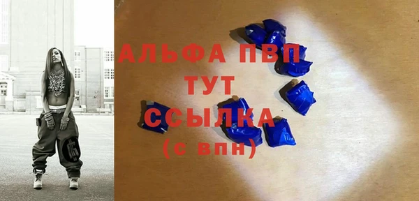 тгк Дмитриев