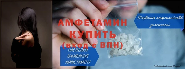 хмурый Пересвет