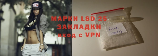 тгк Дмитриев