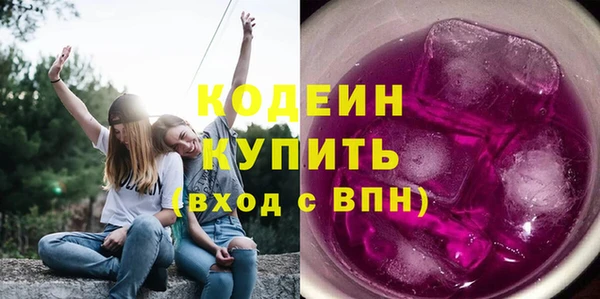 тгк Дмитриев