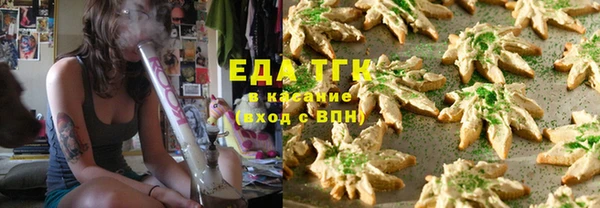 тгк Дмитриев