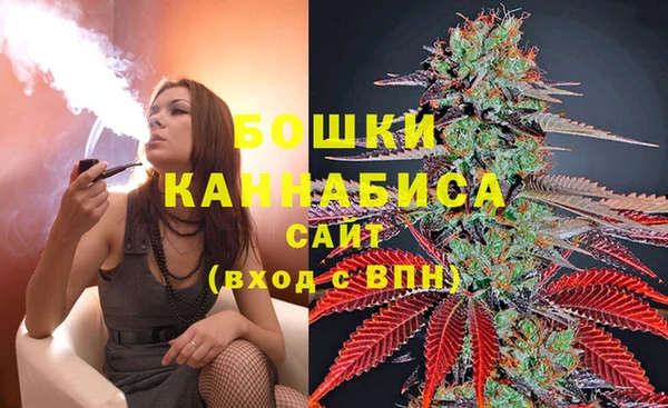 тгк Дмитриев