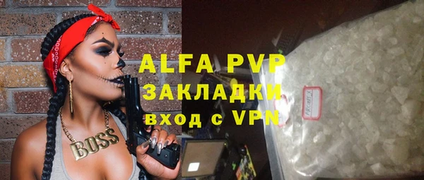 тгк Дмитриев