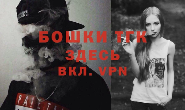 тгк Дмитриев