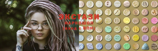 тгк Дмитриев