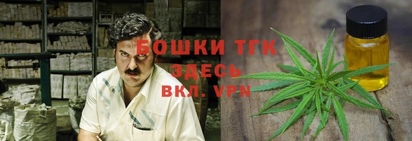 ешки Дмитровск