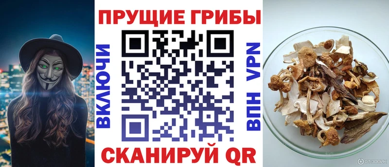 Галлюциногенные грибы мухоморы  что такое   Жердевка 