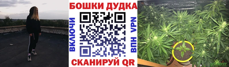 mega как войти  Жердевка  Марихуана ГИДРОПОН 